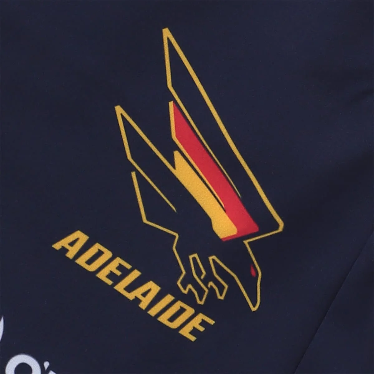 Adelaide Crows 2025 AFL Mens Walk Out Training Shorts - Image 5