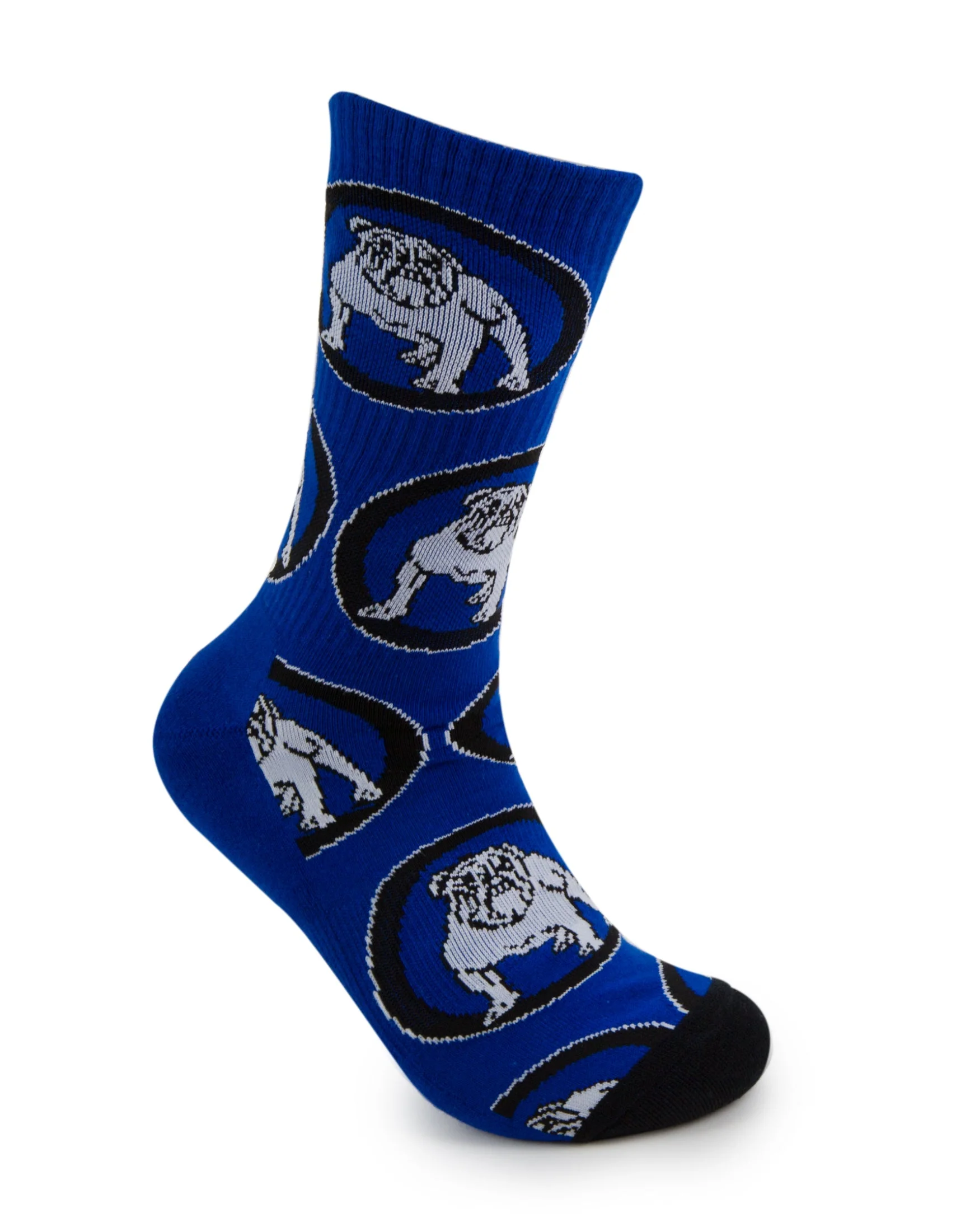 Canterbury Bulldogs 2026 NRL Mens 8-13 Retro Sneaker Sock 2 Pack - Image 4